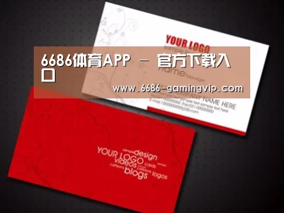 项目名称八