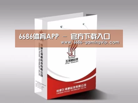 项目名称十三