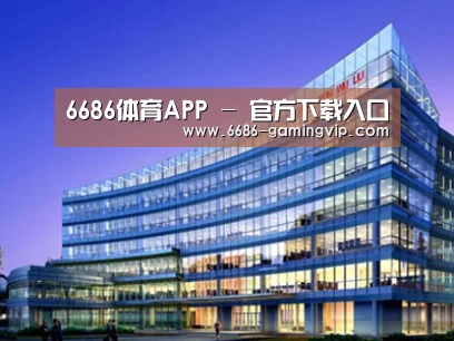 案例展示五
