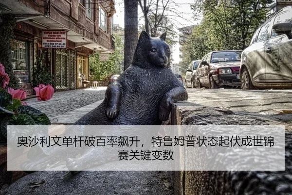 ao-sha-li-wen-dan-gan-po-bai-lv-biao-sheng-te-lu-mu-pu-zhuang-tai-qi-fu-cheng-shi-jin-sai-guan-jian-bian-shu-2-286.jpg