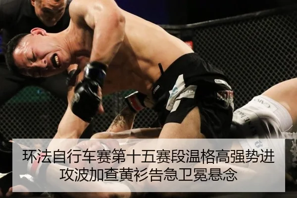 环法自行车赛第十五赛段温格高强势进攻波加查黄衫告急卫冕悬念